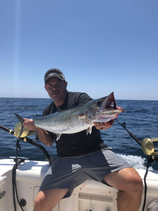  Gulf waters + great fishing = PCB joy!